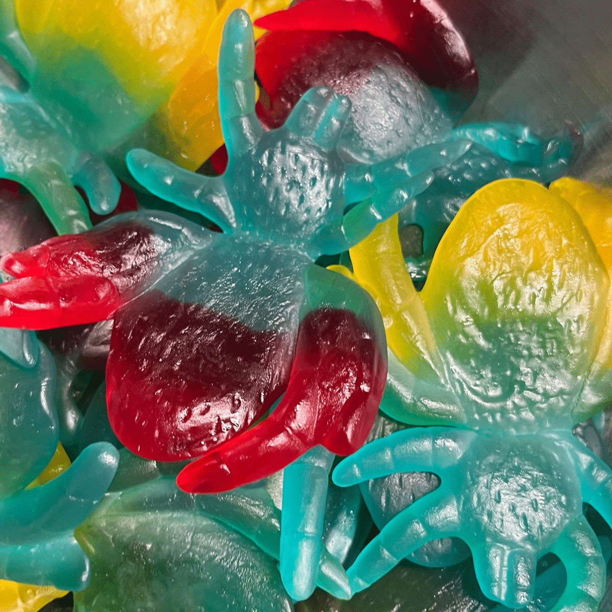 Giant Gummy Spiders | Little Lees Sweeties